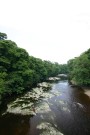 View From Bridge Over River Tees At Low Dinsdale